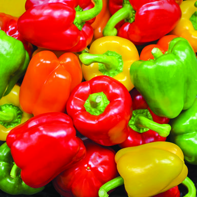 Deer River Super One Foods coupon