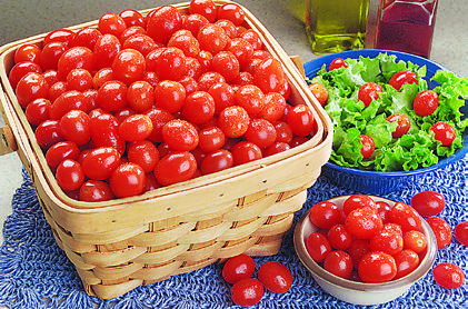 Ashland Super One Foods coupon