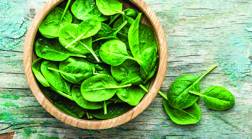 Virginia North Super One Foods coupon