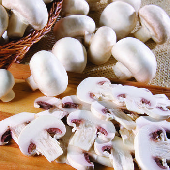 Cloquet Super One Foods coupon