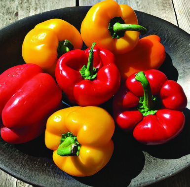 Negaunee Super One Foods coupon