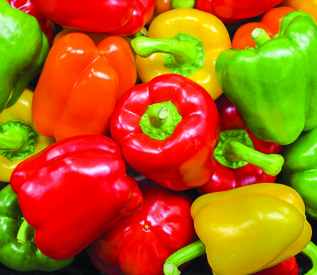 Two Harbors Super One Foods coupon