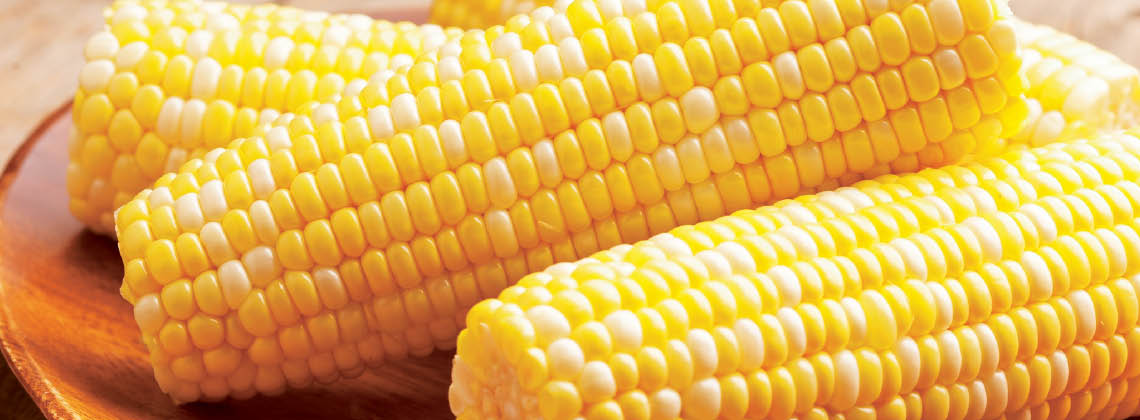 Georgia Grown Bi-Color Sweet Corn LIMIT 10